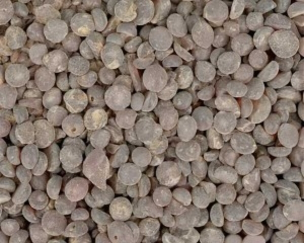 RUBBER ANTIOXIDANT TMQ